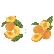 Maison Riviera Yogourt Bio Abricot Petit Pot