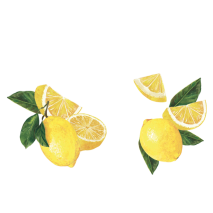 Maison Riviera Lemon Coconut Milk Vegan Delight