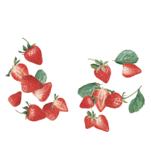 Maison Riviera Yogourt Ferme Fraise Réduit en Sucre