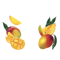 Maison Riviera Kéfir au Lait de Coco Mangue