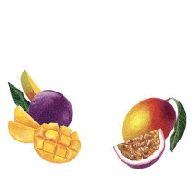 Maison Riviera Délices Végétaux au Lait de Coco Mangue Passion