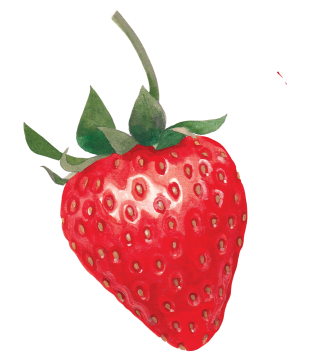 Artisans laitiers Riviera