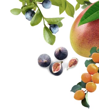 Maison Riviera Leaves Blueberries Figs Mango Apricot