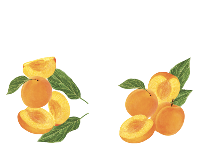 Maison Riviera Apricot Organic Yogourt Petit Pot