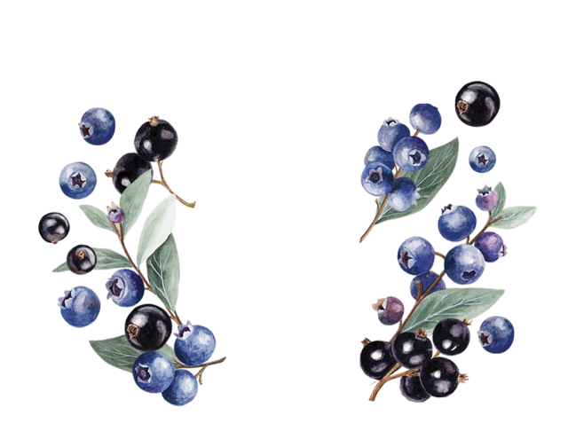 Blueberry and Açai Less sugar Set-Style Yogourt