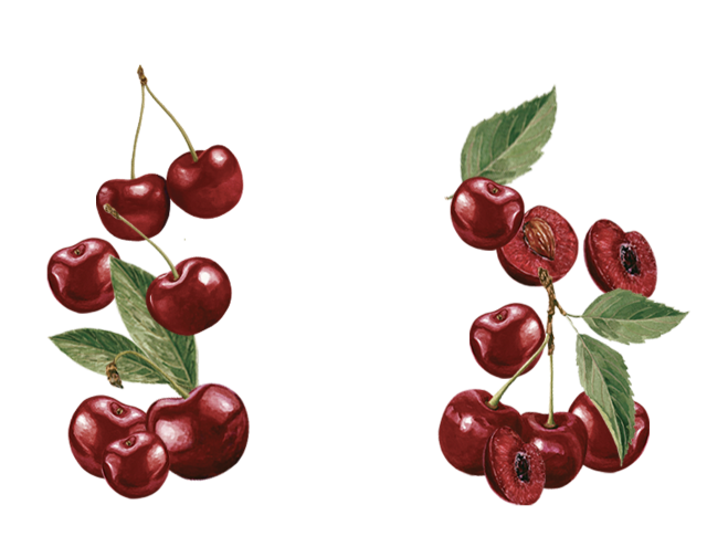 Maison Riviera Cherry Coconut Milk Vegan Delight