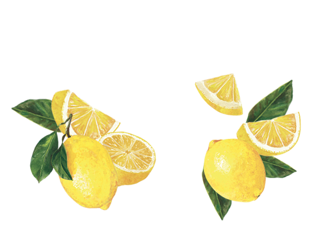 Maison Riviera Délices Végétaux au Lait de Coco Citron