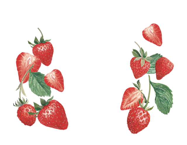 Maison Riviera Strawberry Less Sugar Set-Style Yogourt