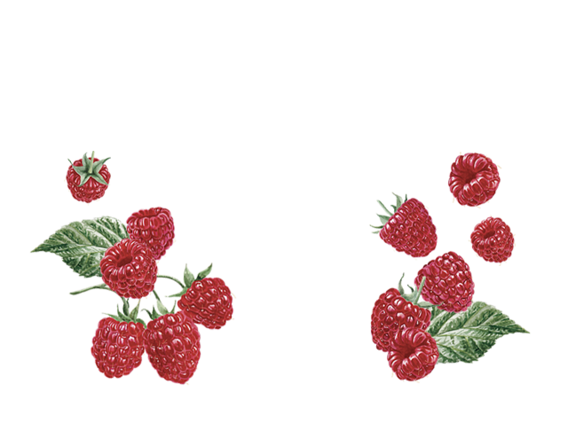 Maison Riviera Coconut Milk Kefir Raspberry 946 ml