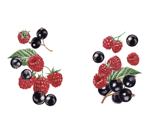 Yogourt Grec 0% Framboise Cassis 650g