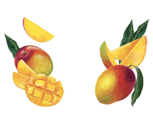 Maison Riviera Kéfir au Lait de Coco Mangue