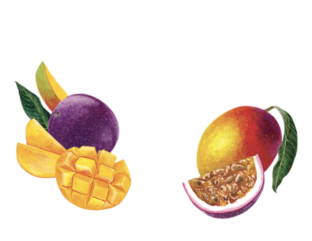 Yogourt Grec 0% Mangue Fruit de la passion 650g