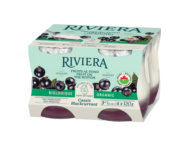 Maison Riviera Blackcurrant Organic Yogourt 4-pack